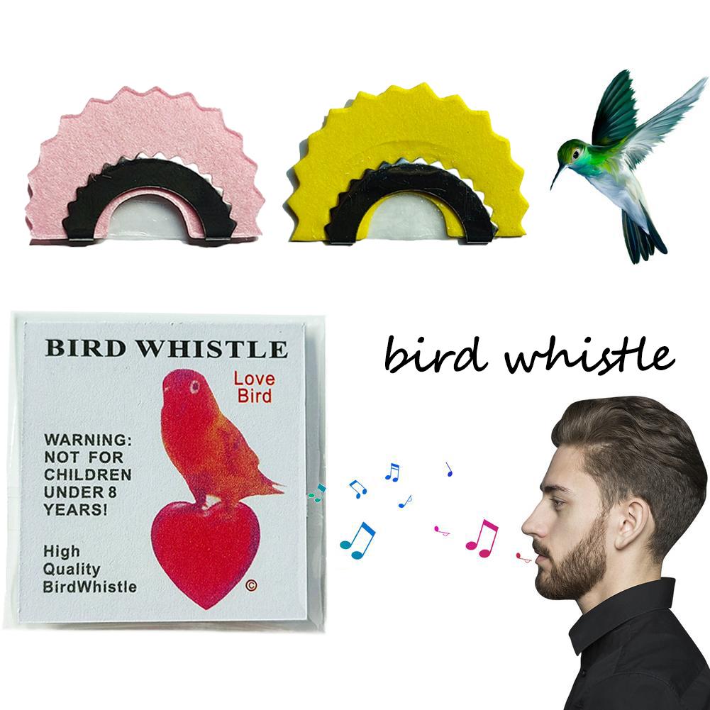 Magic Birdcall Whistle Toy Fun - Kids Toys Entertainer recensione e prezzo