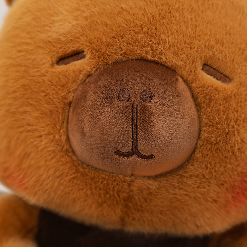 New Capybara Plush Toy Stuffed - Best Kids Toys Xmas recensione e prezzo