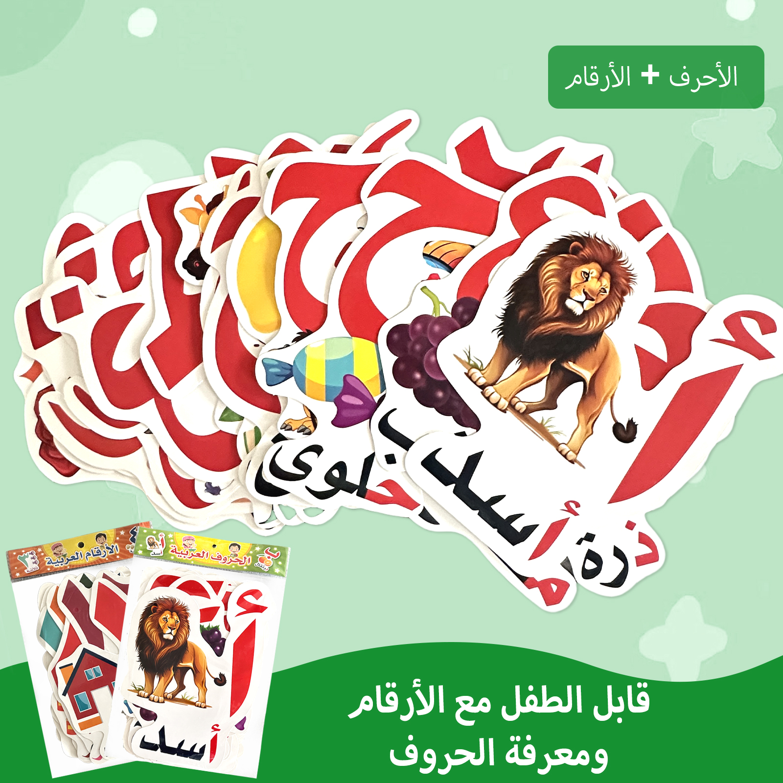 Arabic Alphabet And Number Fla - Educational Flash Card recensione e prezzo