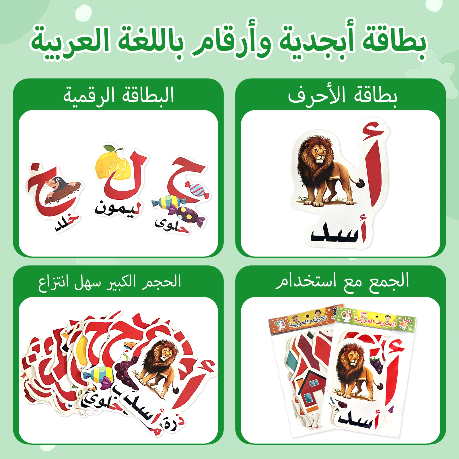 Arabic Alphabet And Number Fla - Educational Flash Card recensione e prezzo