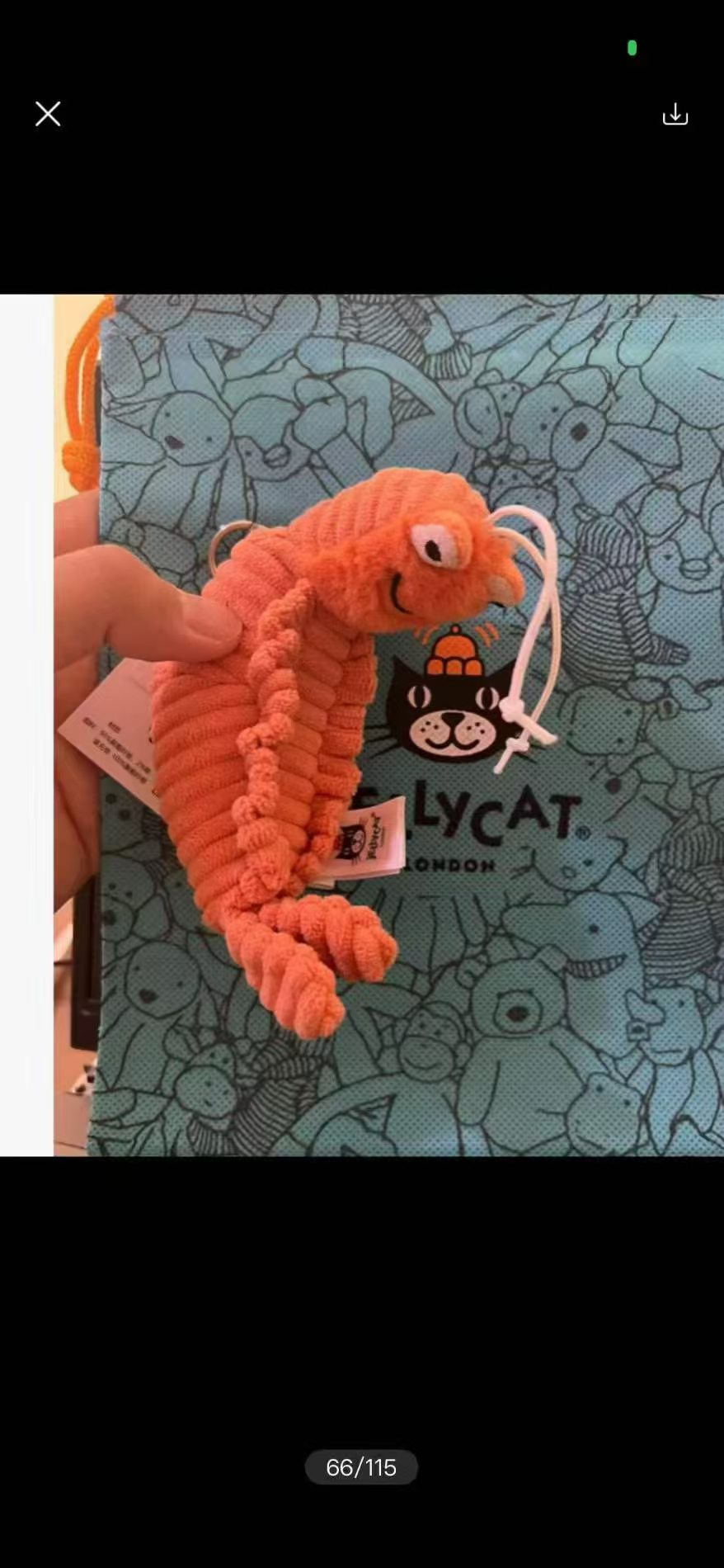 2026 JC brand plush toy keycha - Kids Toys Return Gift recensione e prezzo