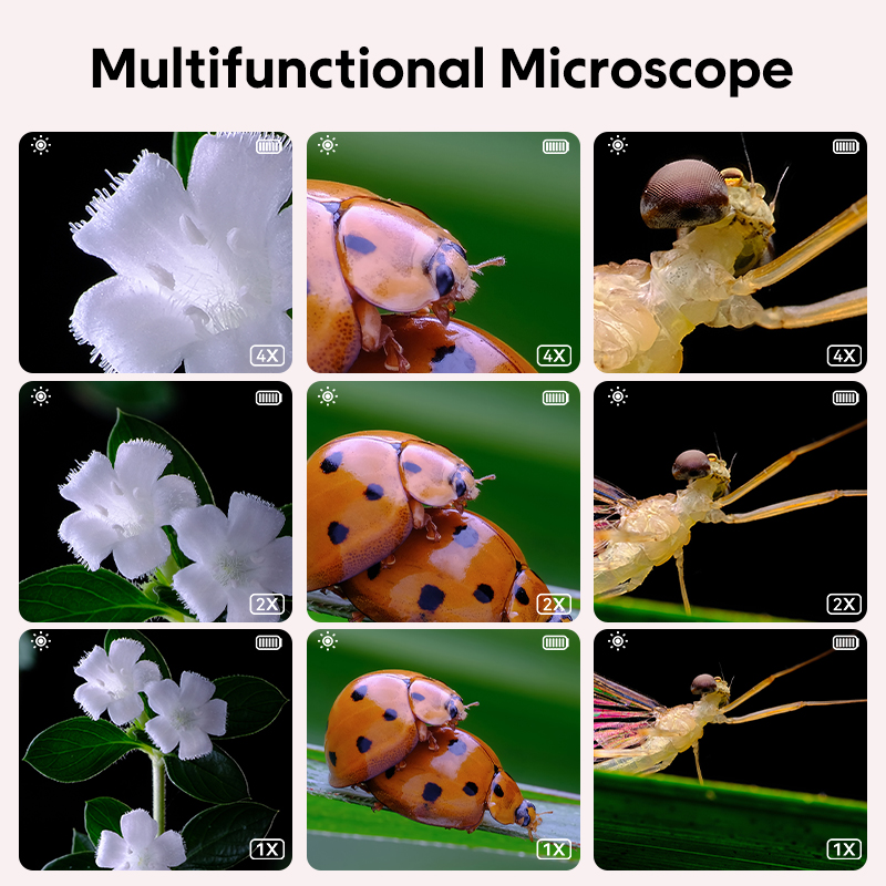Mini Kids Optical Microscope W - Toys For Kids Video recensione e prezzo